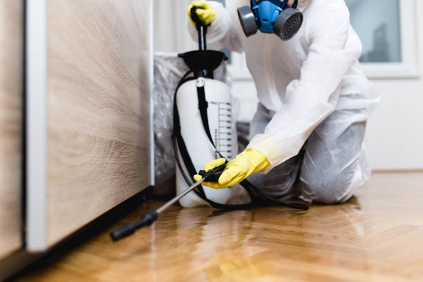 Best Best Pest Control Companies  in Rouses Point, NY