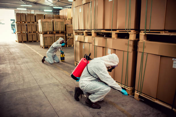 Best Cockroach Control Services  in Rouses Point, NY