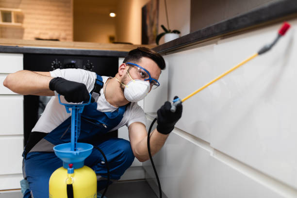 Best Bed Bug Extermination  in Rouses Point, NY