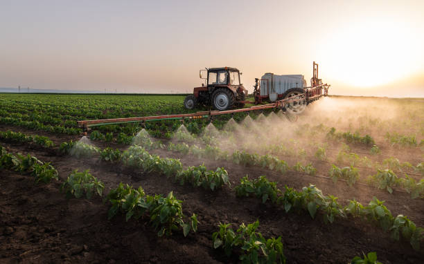 Best Best Pest Control Companies  in Rouses Point, NY