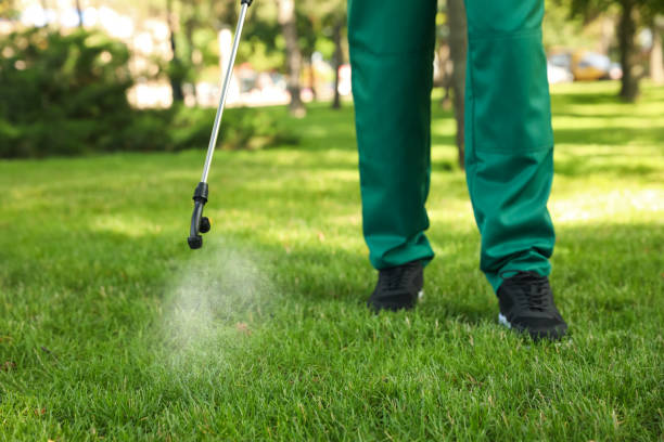 Best Emergency Pest Control  in Rouses Point, NY