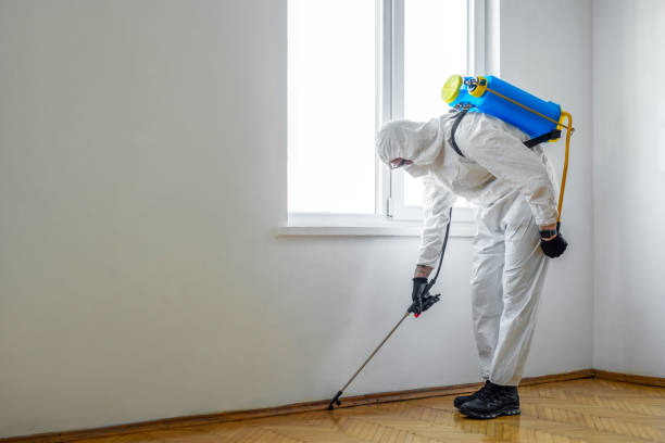 Wildlife Control Services in Rouses Point, NY