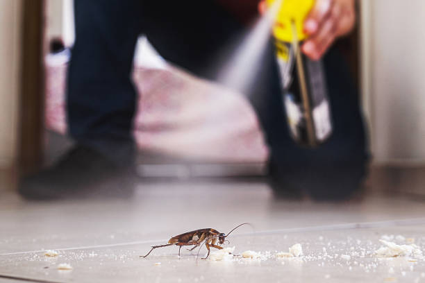 Pest Control for Restaurants in Rouses Point, NY