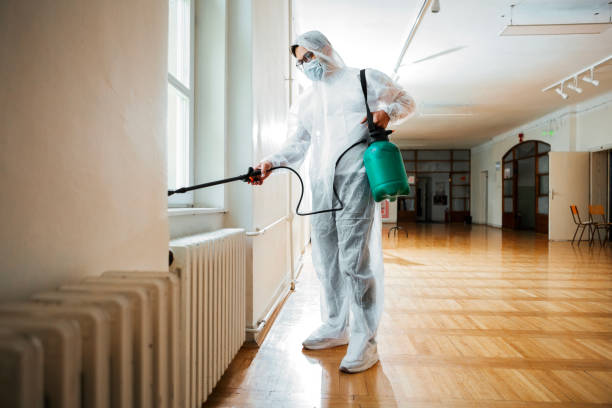 Best Pest Control Near Me in Rouses Point, NY
