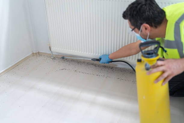 Best Affordable Pest Control Services  in Rouses Point, NY