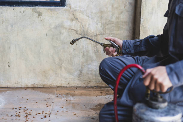 Best Exterminator Services  in Rouses Point, NY